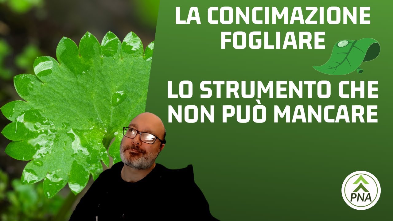 Concimazione fogliare: cos'è, quando serve e come farla. Lo strumento tecnico che ti manca.