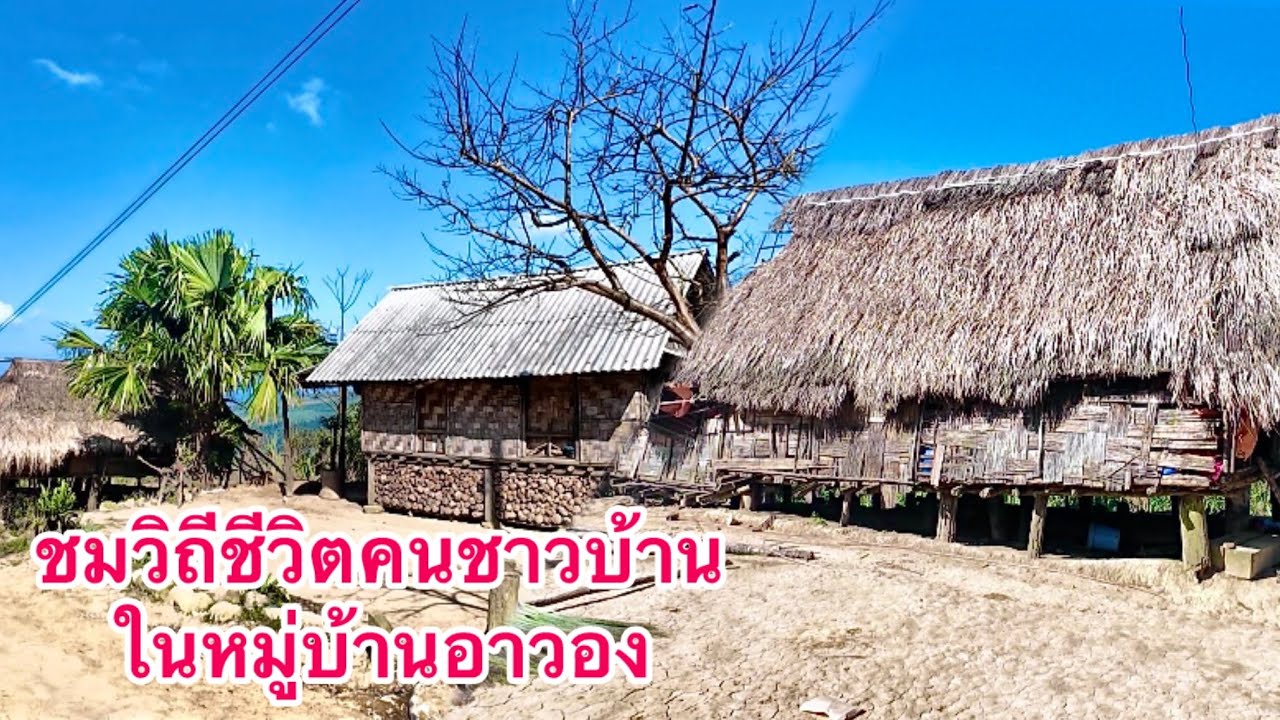 ชมวิถีชีวิตคนชาวบ้านในหมู่บ้านอาวองในยามเช้า
