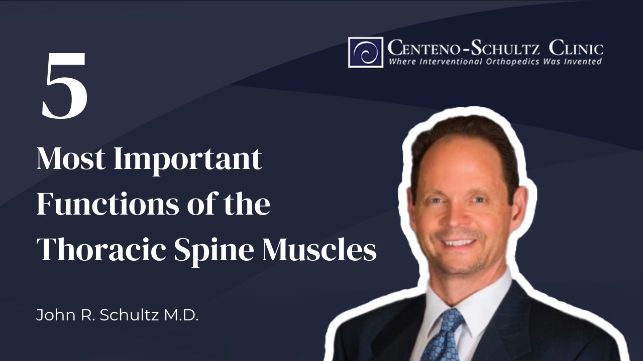 Thoracic Spine Muscles: 5 Most Important Functions of the Thoracic Spine Muscles