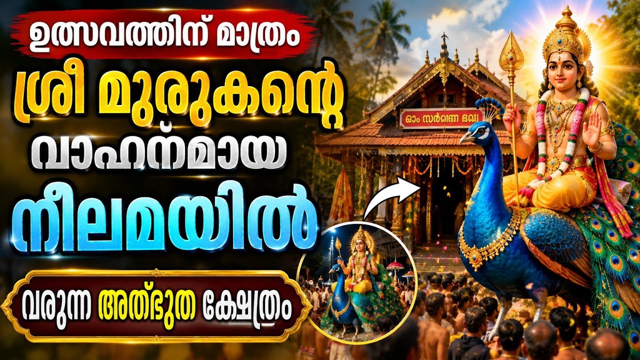 മയൂരപുരം ശ്രീധർമ്മശാസ്താ മുരുക ക്ഷേത്രം@mayoorapuramsreedharmasasthamuragatemple