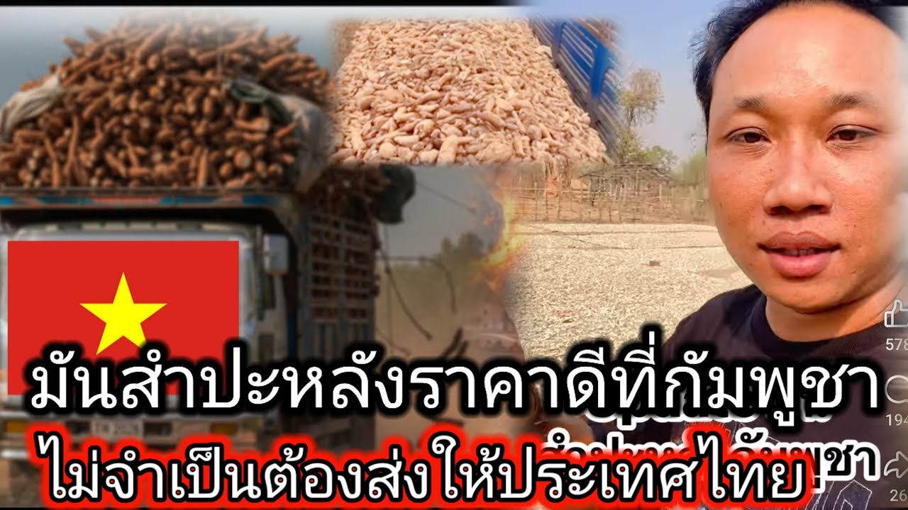เรื่องจริงหรอเนี่ยบอยเขมรเอามาพูดเรื่องมันสำปะหลังในราคาดีประเทศกัมพูชา ไม่จำเป็นต้องส่งให้ไทย