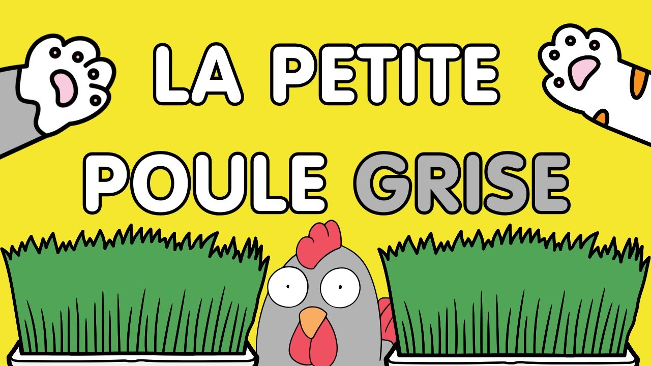 La petite poule grise - Professeur Baba