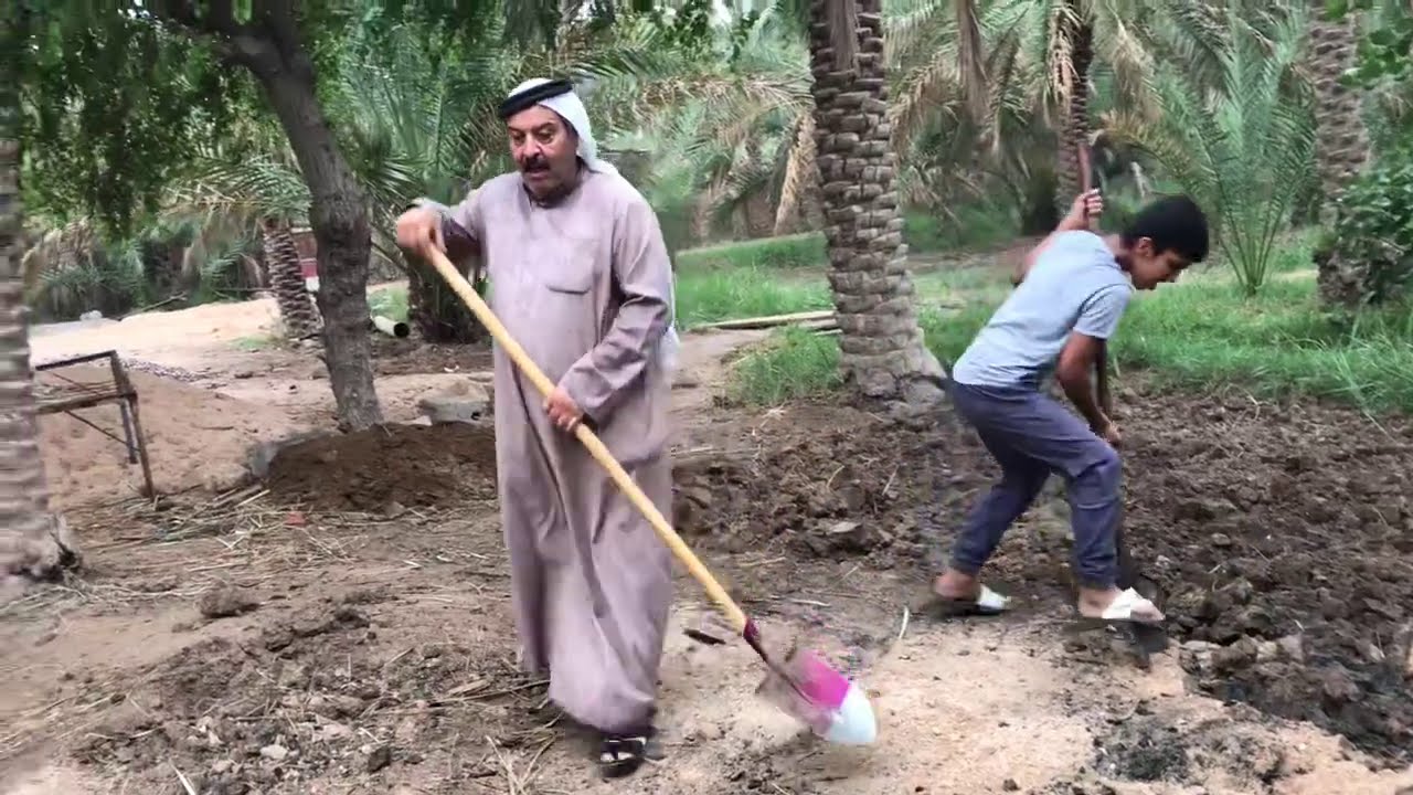 منظر بستان النخيل في حمدان واجواء ممطره جميله