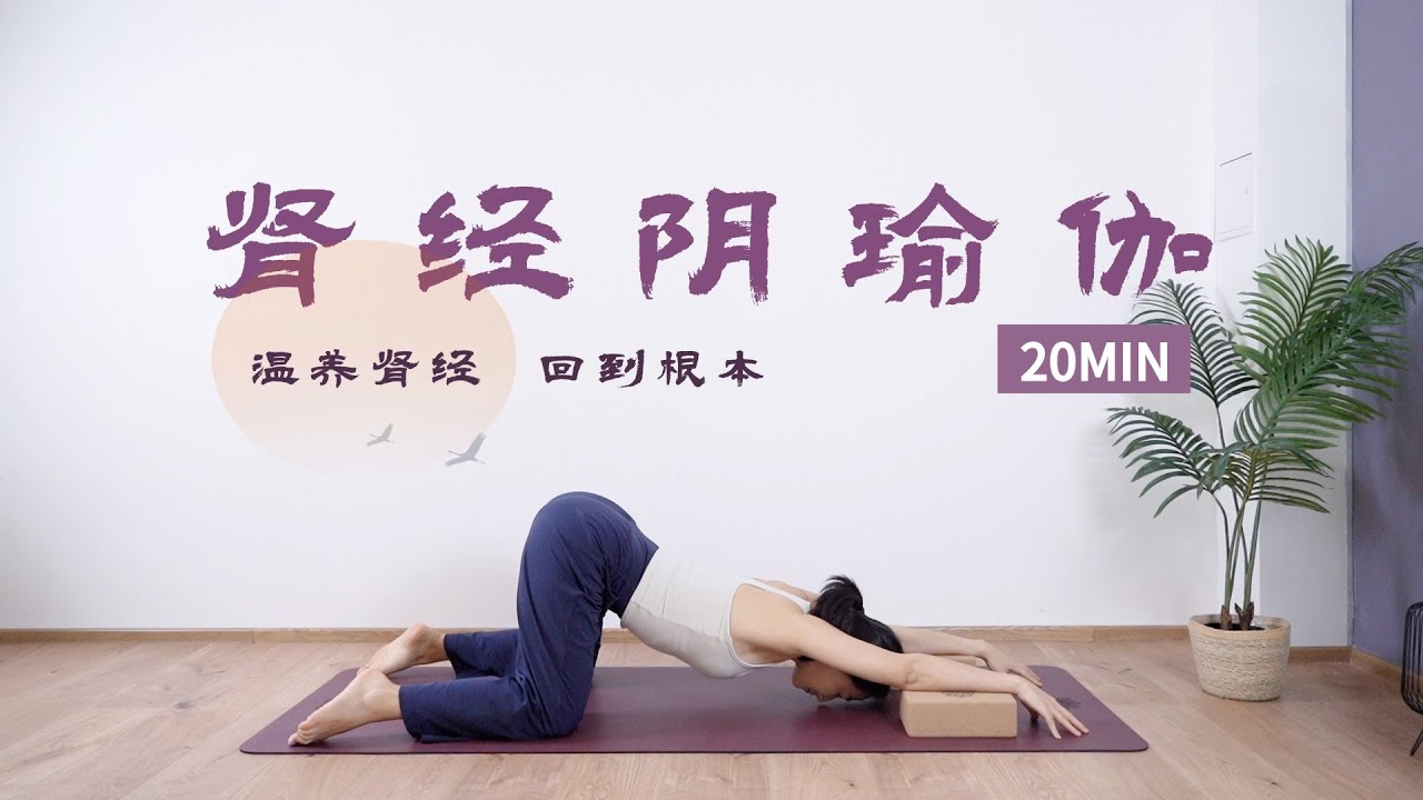 【会员视频精选公开课】🌟 20分钟肾经阴瑜伽滋养序列 疏通肾经 温养肾气 改善疲惫与失眠｜YUEYOGA