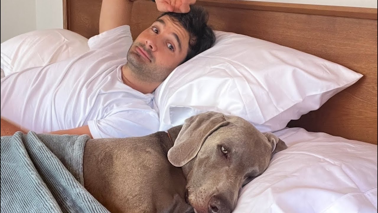 A Gio🐶le consiguieron trabajo 🥲🫢
