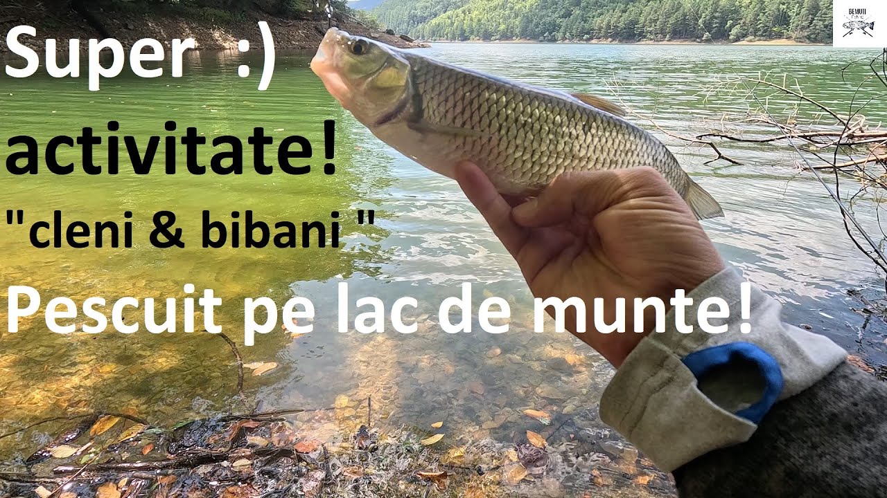 🎣🌞 Cleni și bibani din belșug! Super activitate pe un lac de munte 🌞🎣