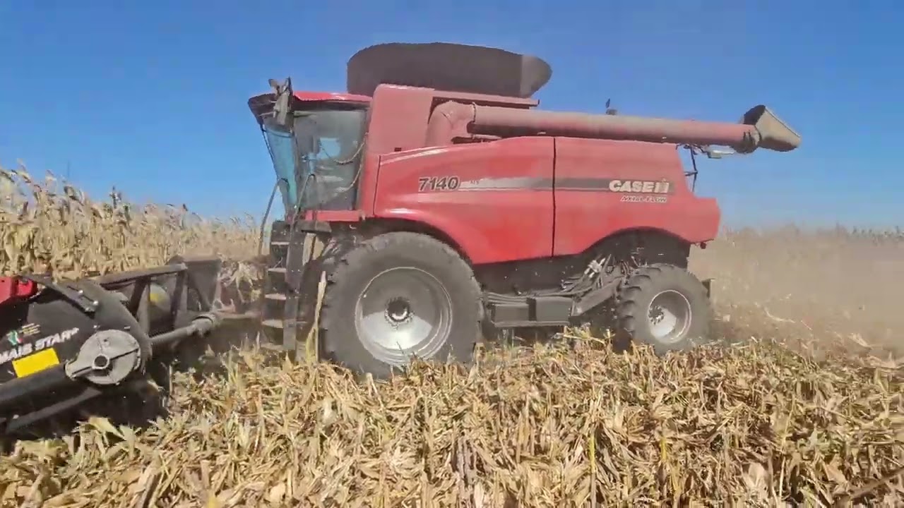 7140 Harvesting corn in South Africa