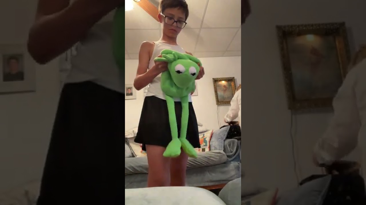 so i got a Kermit puppet from amazon…