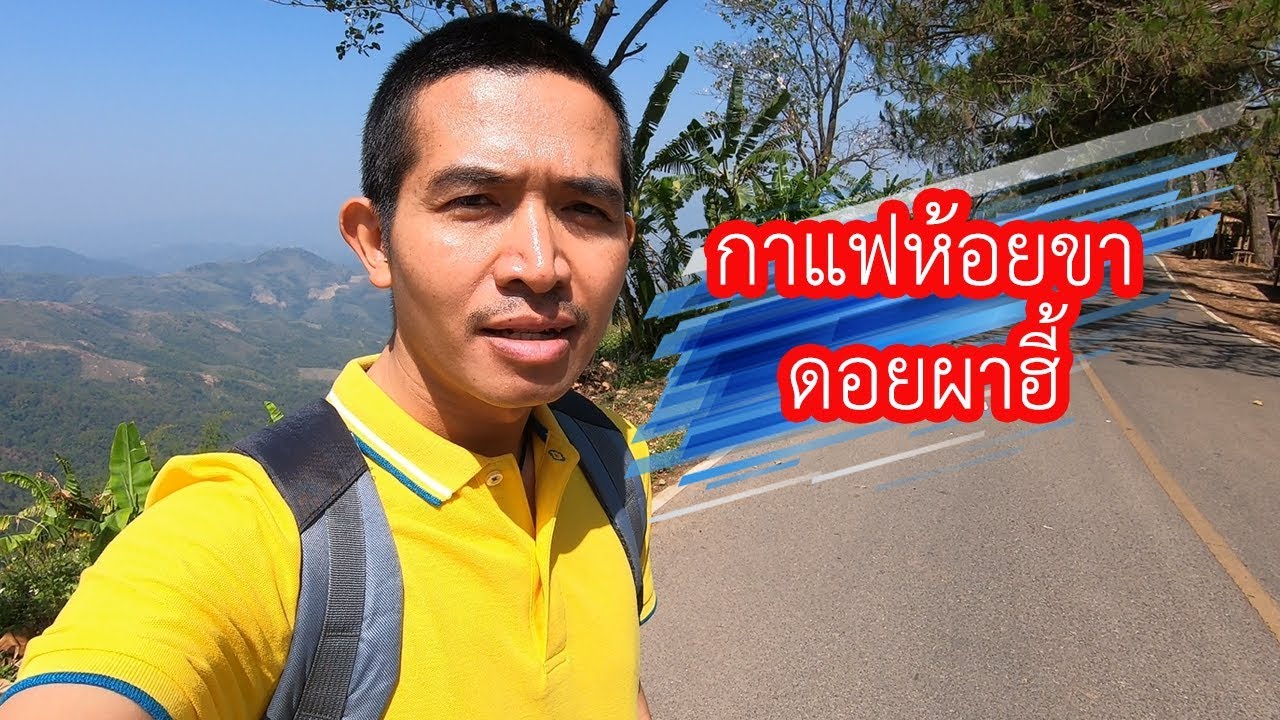 กาแฟห้อยขา ดอยผาฮี้ แม่สาย | VchaiBlog