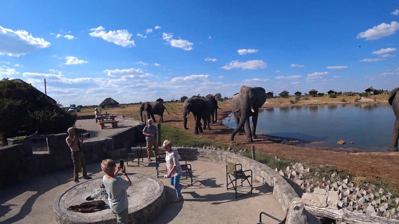 Elefant Sands in der Nähe von Nata Botswana