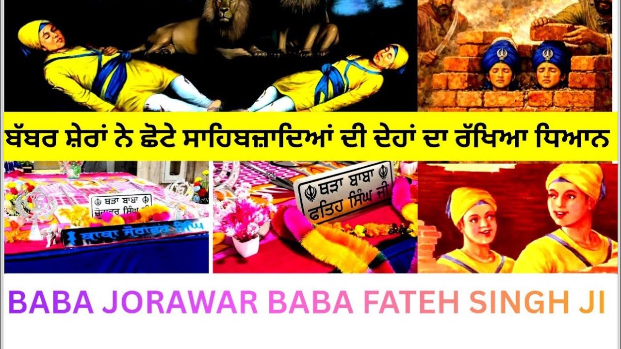 ਛੋਟੇ ਸਾਹਿਬਜਾਦਿਆ ਦੀਆ ਦੇਹਾ ਦਾ ਰੱਖਿਆ ਧਿਆਨ ਬੱਬਰ ਸੇਰਾ ਨੇ ||