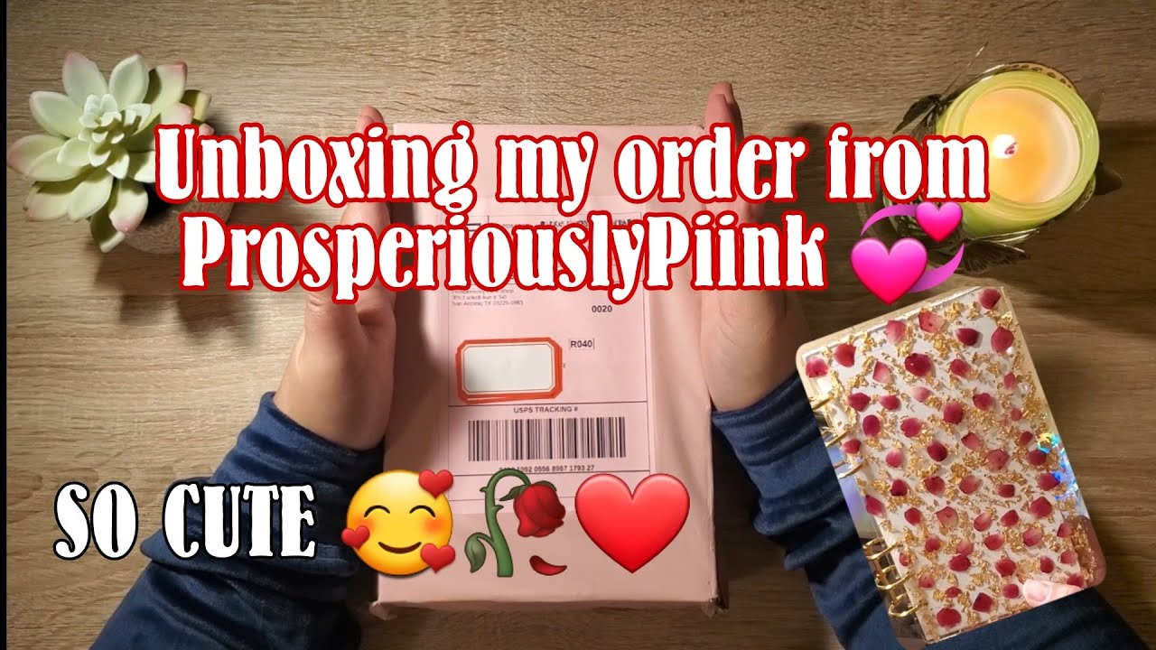Unboxing my order from ProsperiouslyPiink 😍😍😍🥀 | Showing all my updated binders ☺