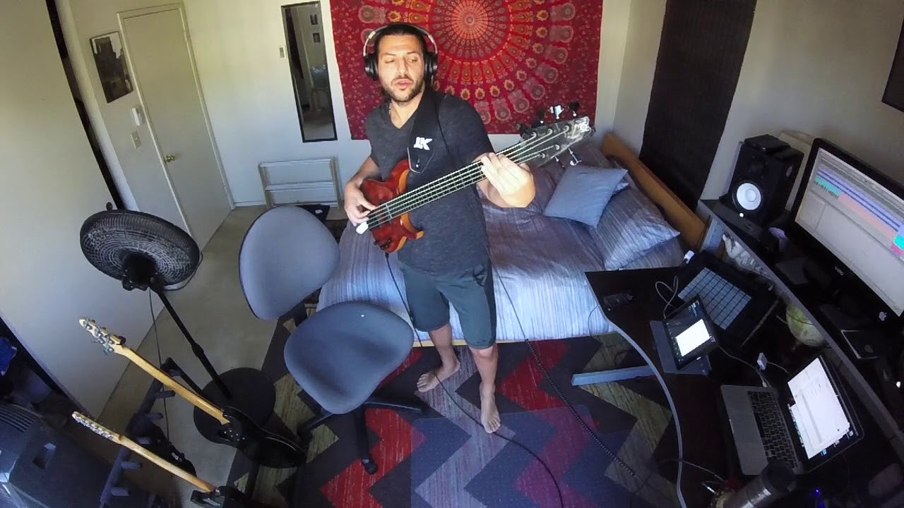 Modulus Quantum 5 (Fretless)