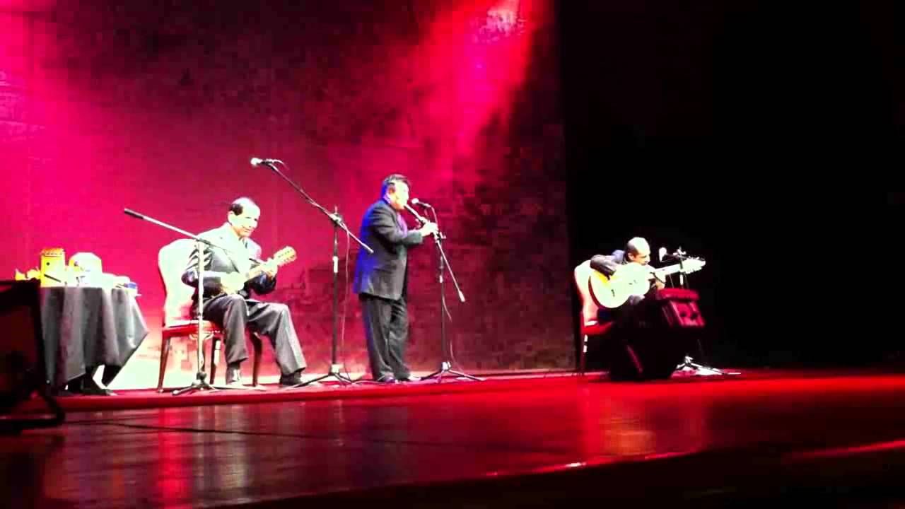 FLOR DE CAÑA - 