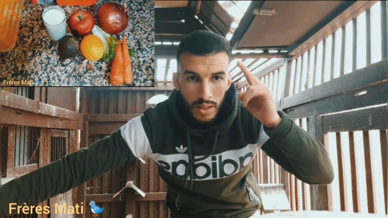 يوم الاحد 💯 طريقة تحضير الخضر للحمام الزاجل على طريقة اخوان ماتي 🙏🔥🔥