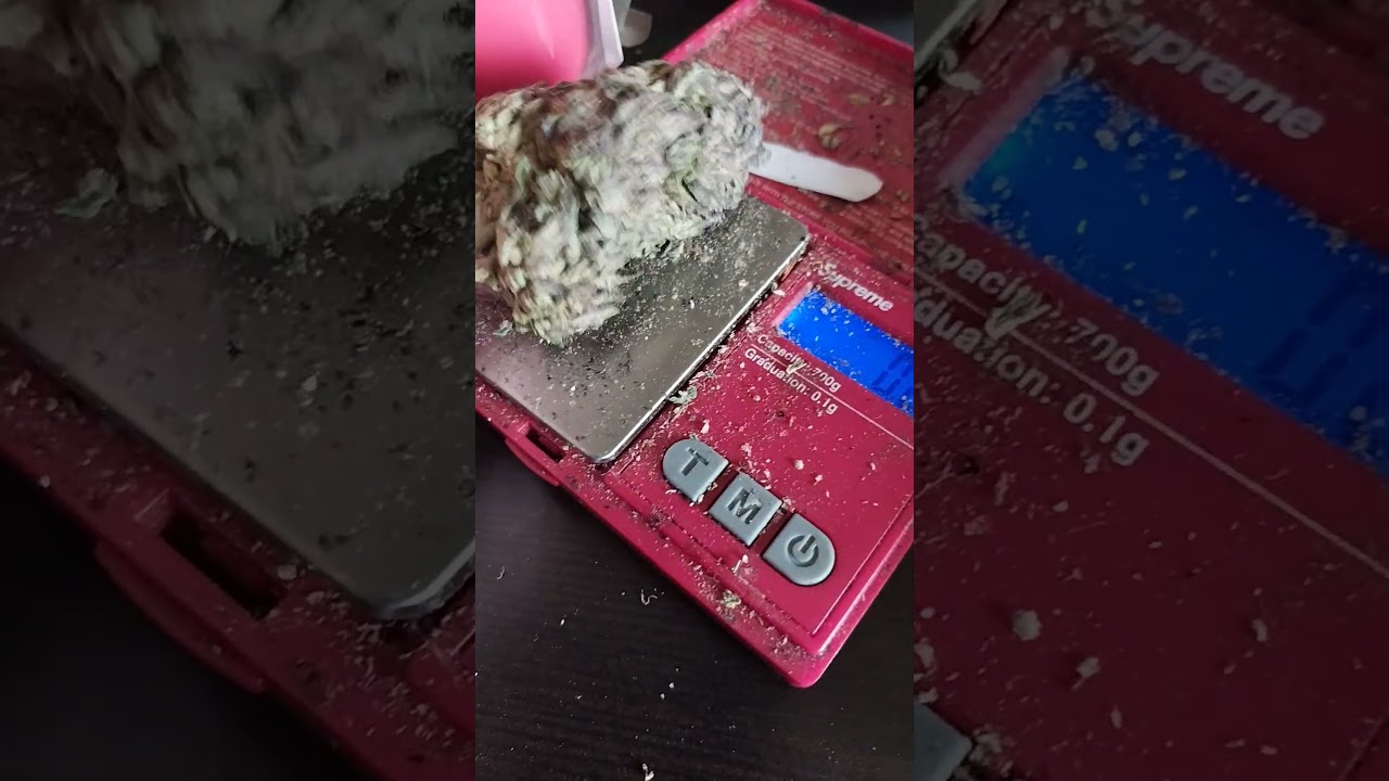 fat nug