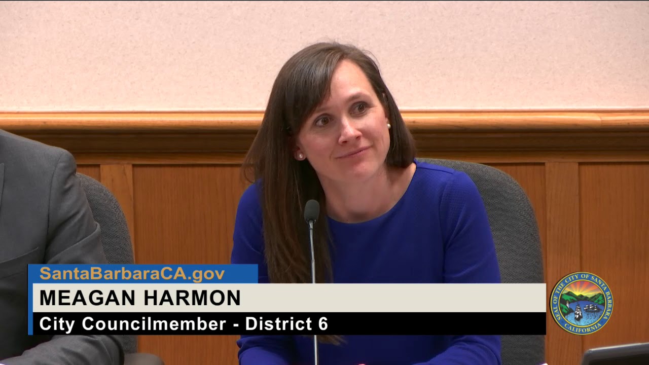 Finance Committee - Review of FY 2020 and 2021 Two-Year Financial Plan - 2019-05-14