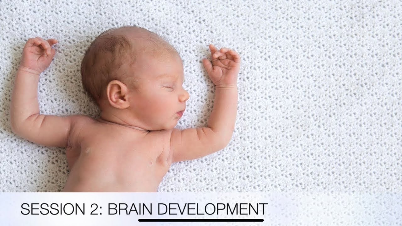 Session 2: Brain Development