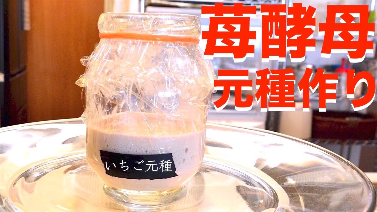 [自家製酵母作り 02] フルーツ酵母  苺酵母元種の作り方 安定した酵母作り