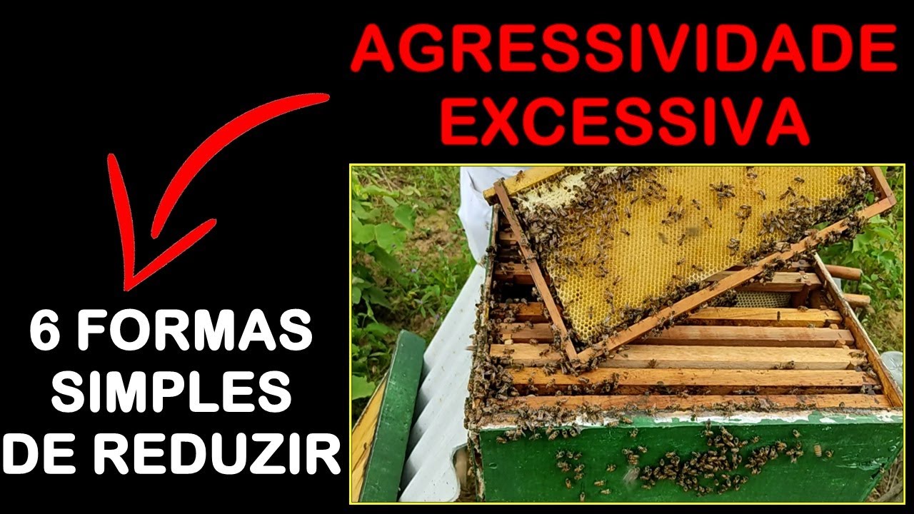 6 ESTRATERGIAS PARA REDUZIR AGRESSIVIDADE DAS ABELHAS DURANTE REVISÕES