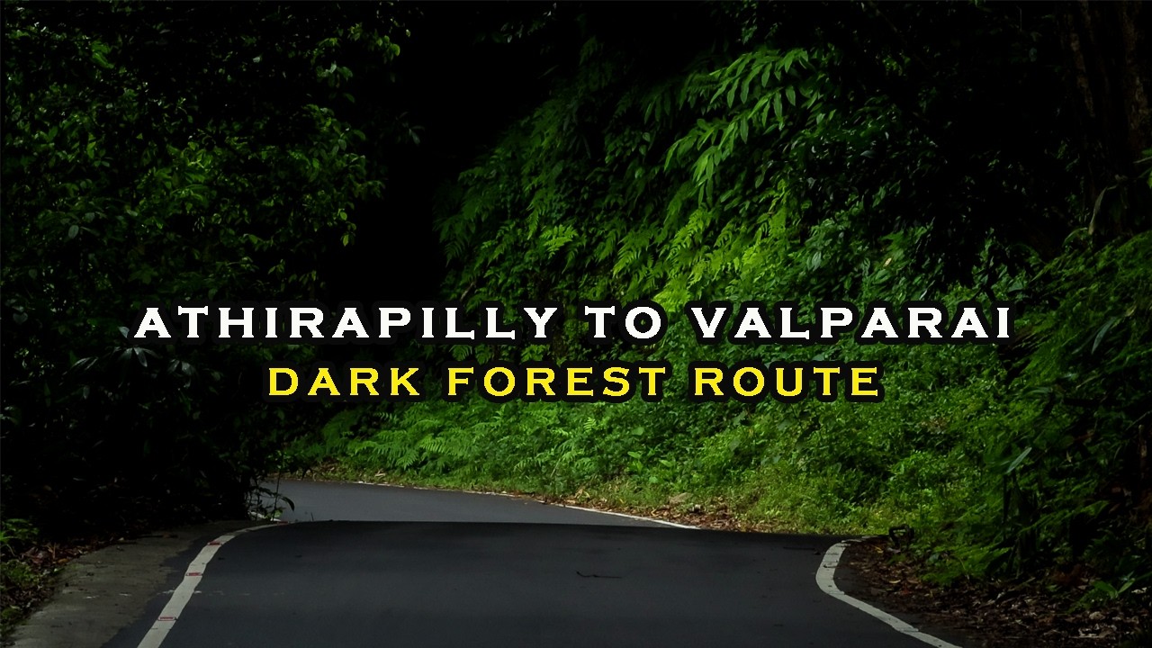 Athirapilly to Valparai forest route | വാൽപ്പാറ