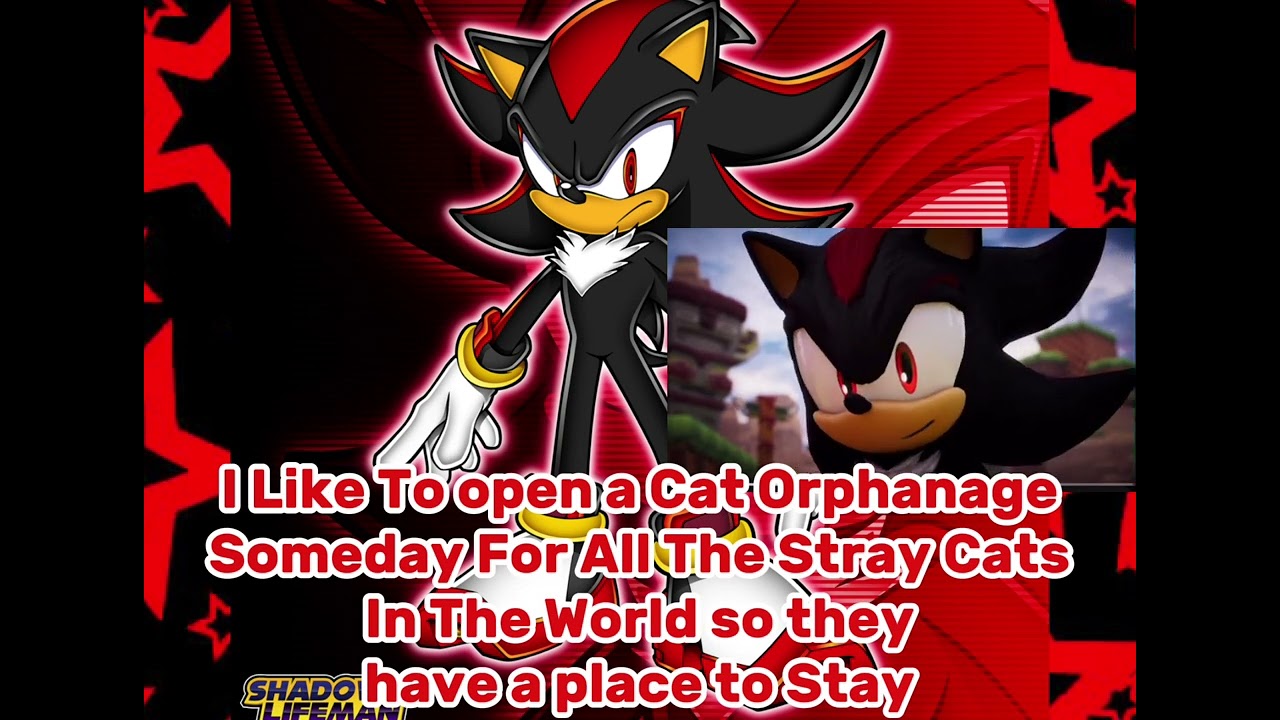 🖤❤️🖤❤️Shadow Likes Cats