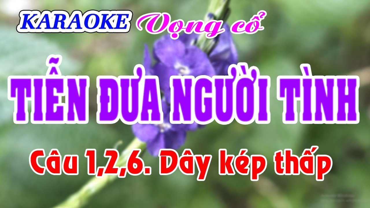 Karaoke _  Tiễn Đưa Người Tình _  Dây Kép Thấp