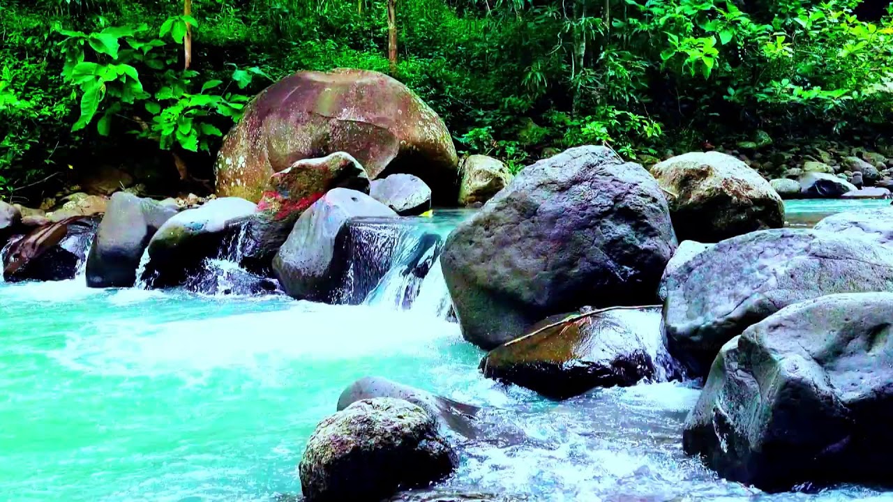 Relaxing River and Birdsong ASMR - Nature’s Ambience for Sleep, Studying, and Calm Focus
