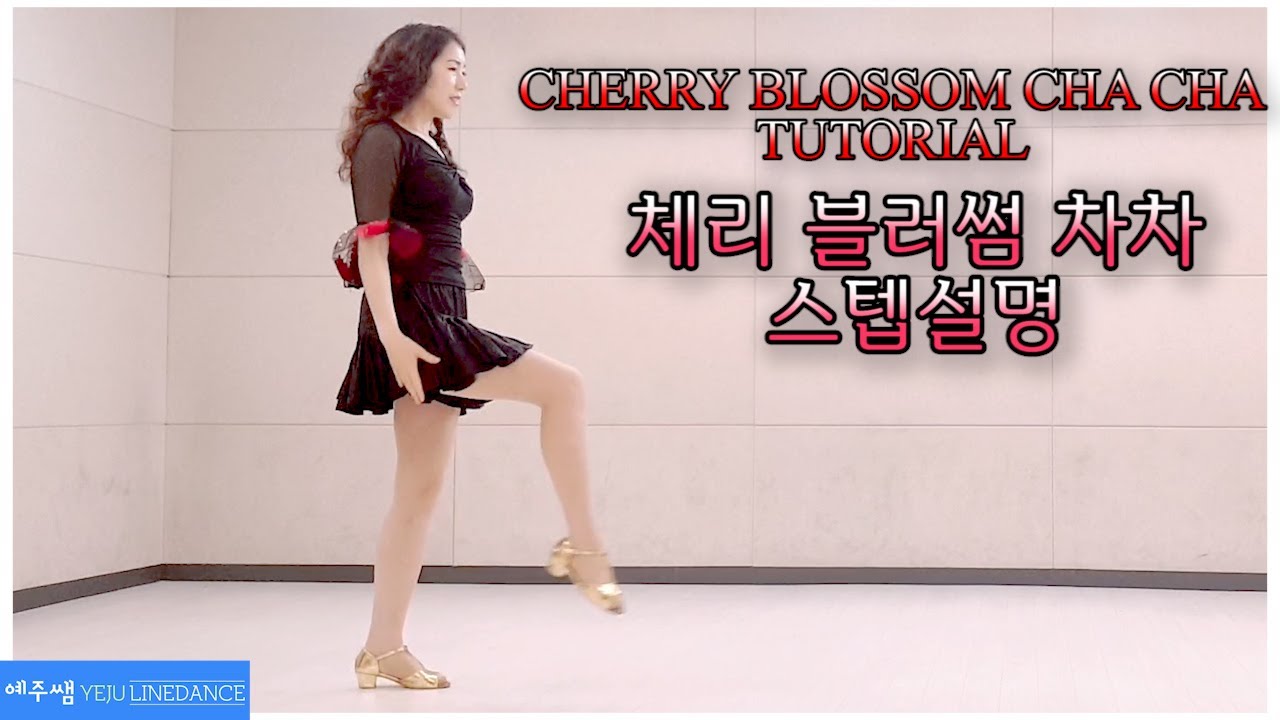 [예주쌤라인댄스]CHERRY BLOSSOM CHA CHA Line Dance Tutorial 체리 블러썸 차차 라인댄스 스텝설명