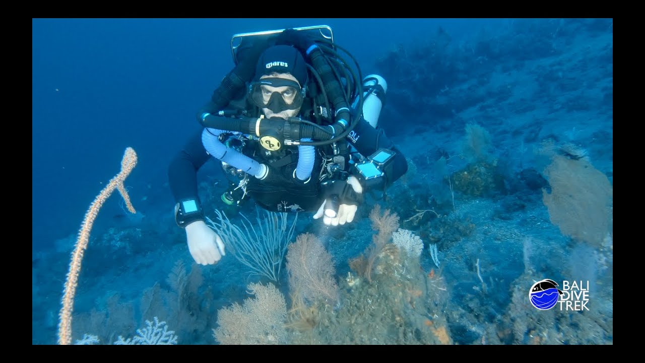 Dual Rebreather with the Giant grouper