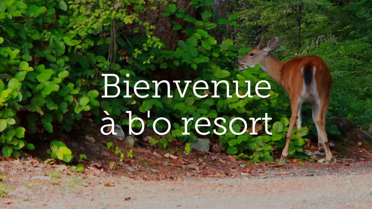 presentation de b'o resort thermal
