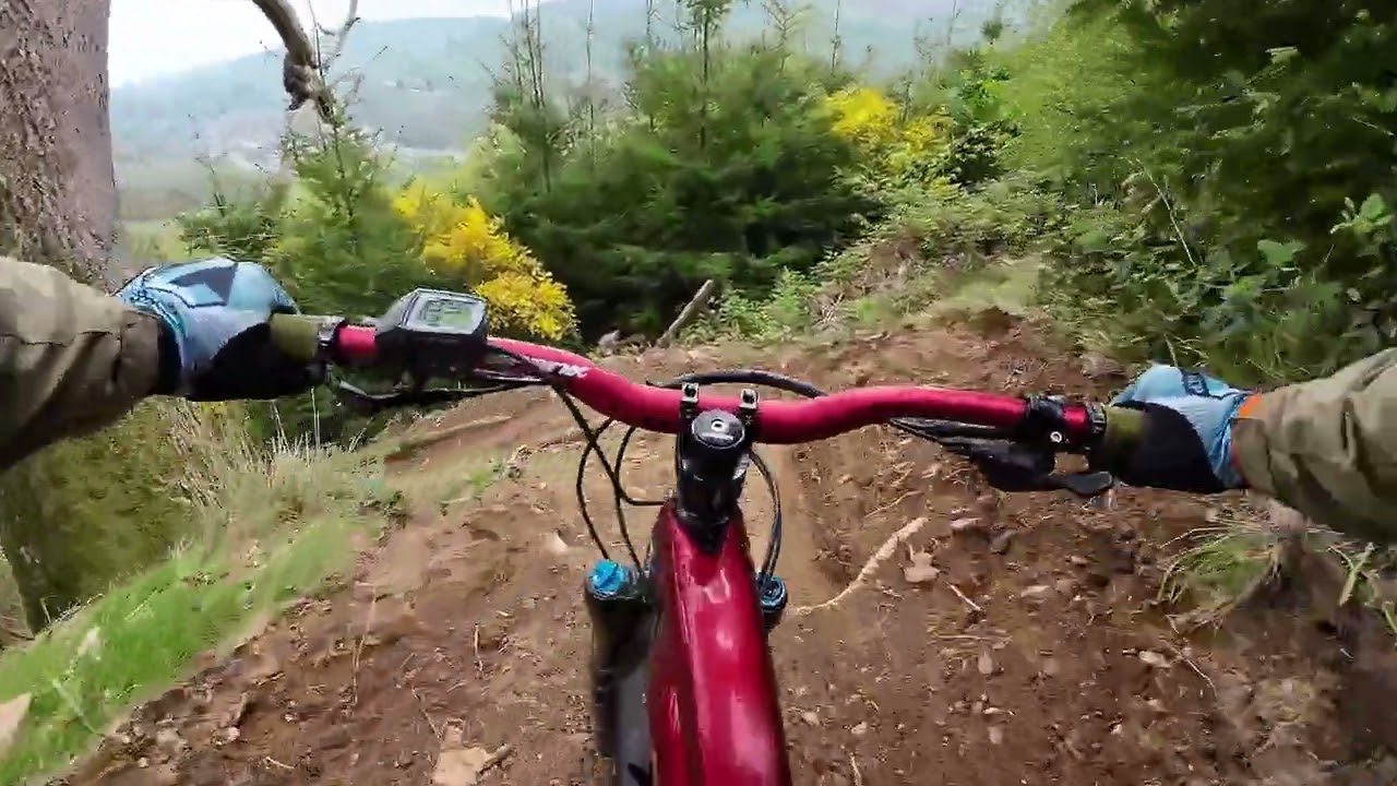 Busy Lizzie (Cwmcarn) - full run!