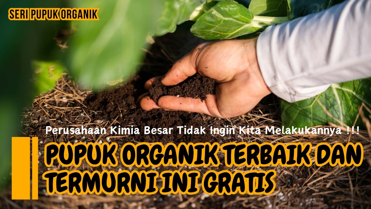 Pupuk Organik Termurni dan Terbaik | Perusahaan Kimia Besar Tidak Ingin Kita Melakukannya !!!