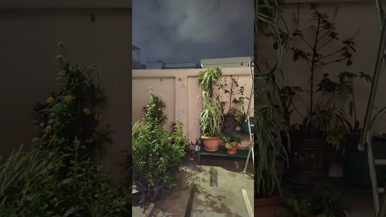 🌧️🌧️ Live