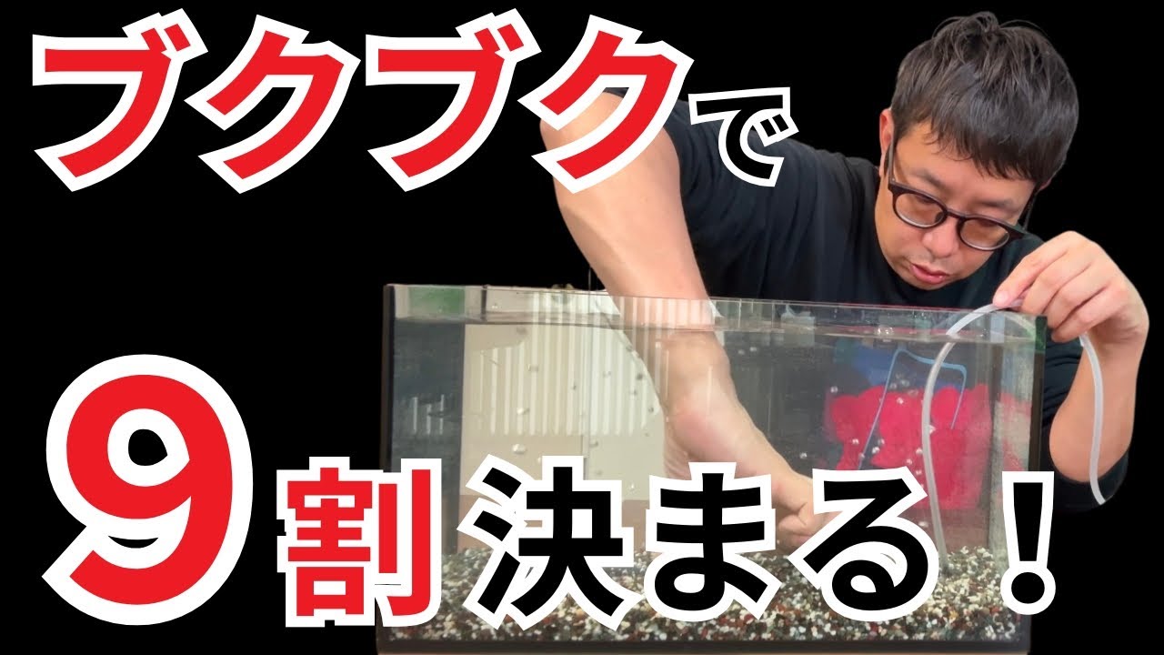 【圧倒的効果】エアレーションの超上手な使い方
