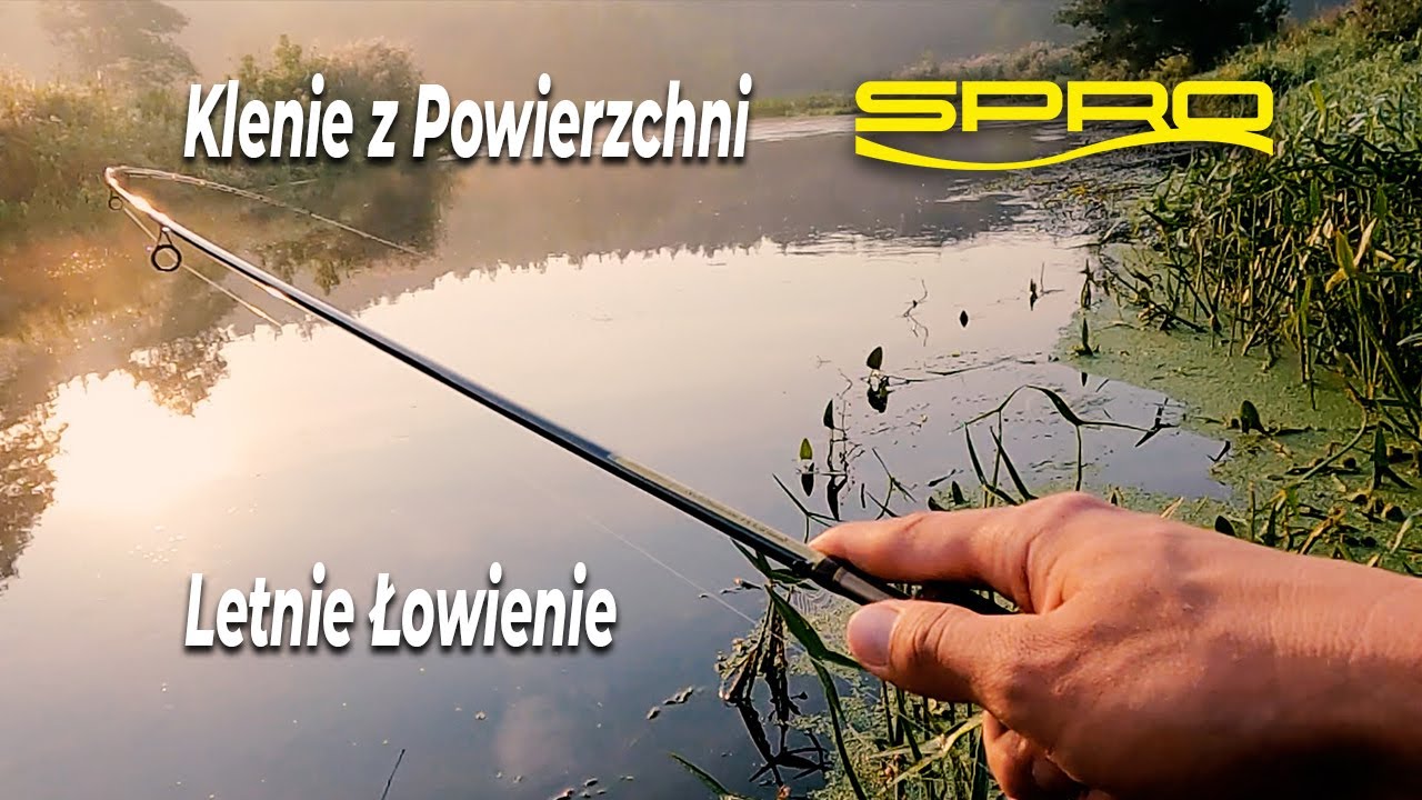 Letnie Łowienie Kleni - Klenie z Powierzchni