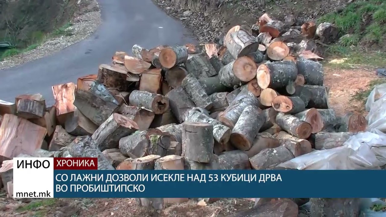 Со лажни дозволи исекле над 53 кубици дрва во пробиштипско