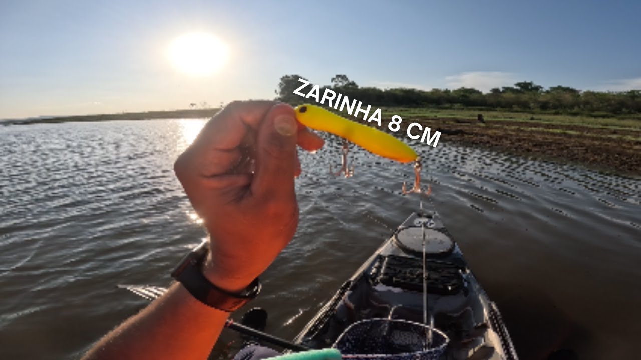 EU SURPREENDI COM O DESEMPENHO DO  ISCA ZARINHA BABY 🎣