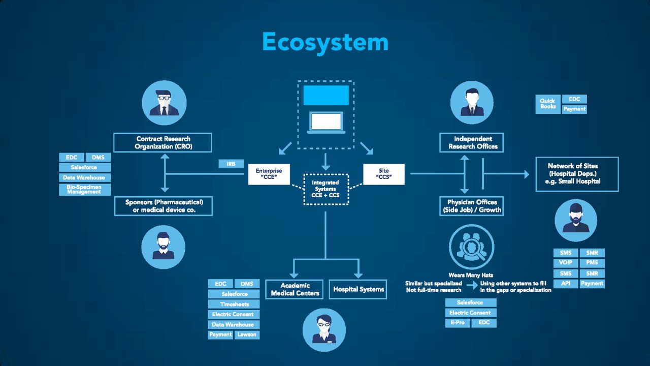 Ecosystem Mapping - Designing Experiences for Complex Domains