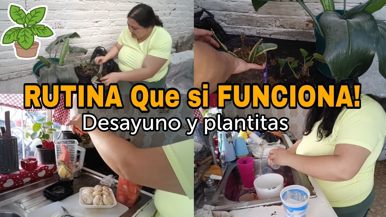Rutina de Mañana / Desayuno Rico Plantitas Felices y Quehacer con Amor #cocina #jardineria #hoga