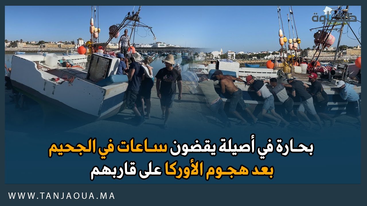 بحارة في أصيلة يقضون ساعات في الجحيم بعد هجوم الأوركا على قاربهم