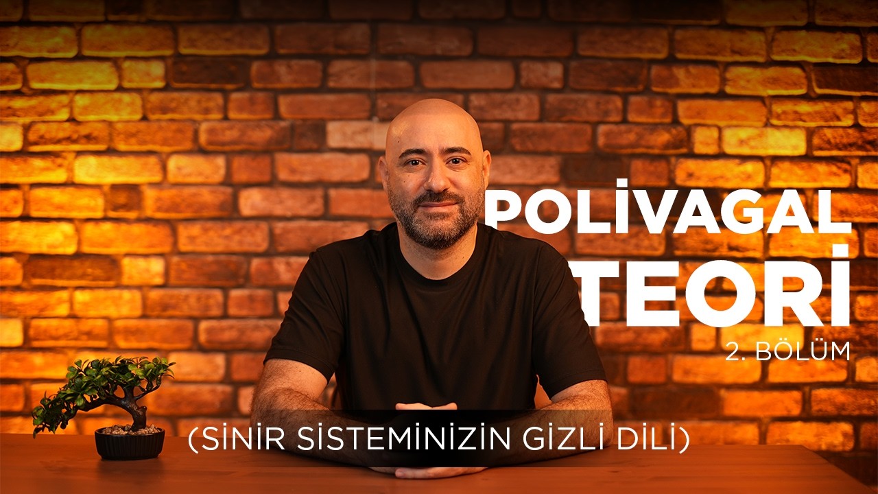 Polivagal Teori (Sinir Sisteminizin Gizli Dili / 2)