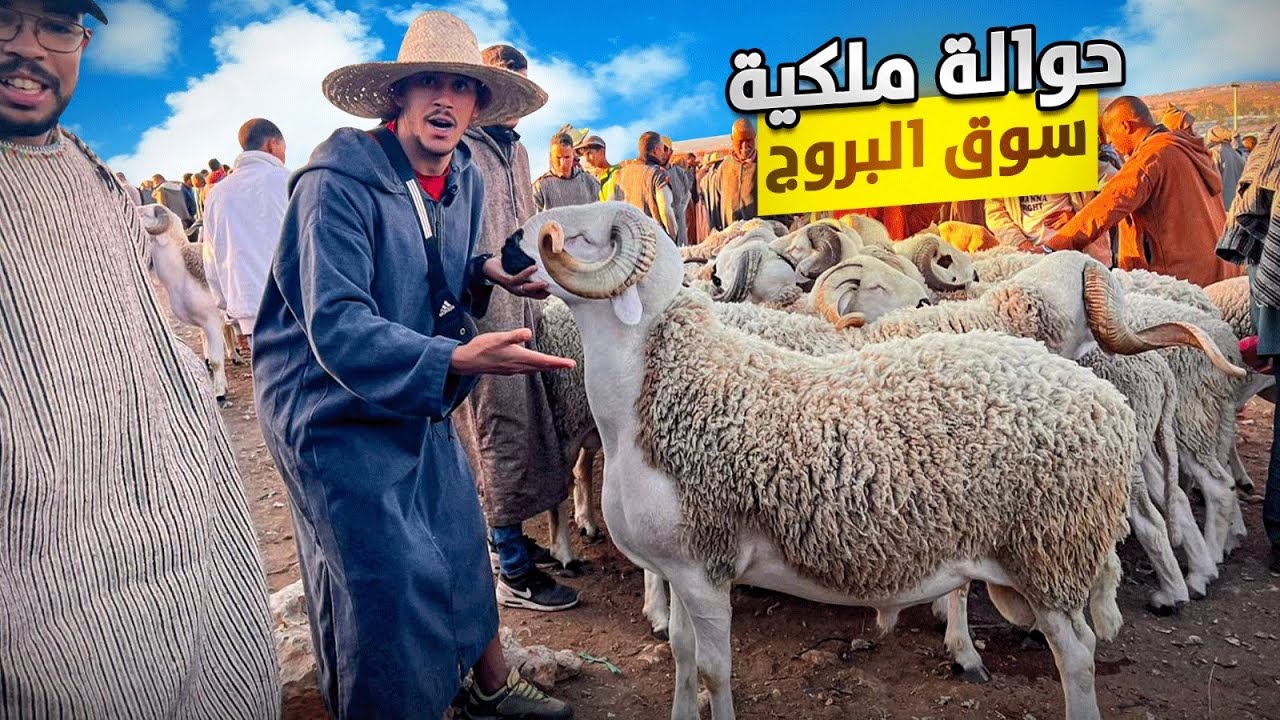 اليوم من سوق حد البروج اقليم سطات بالمغرب 🇲🇦مع اثمنة حولي عيد الأضحى 🐑 بتاريخ 05/05/2024
