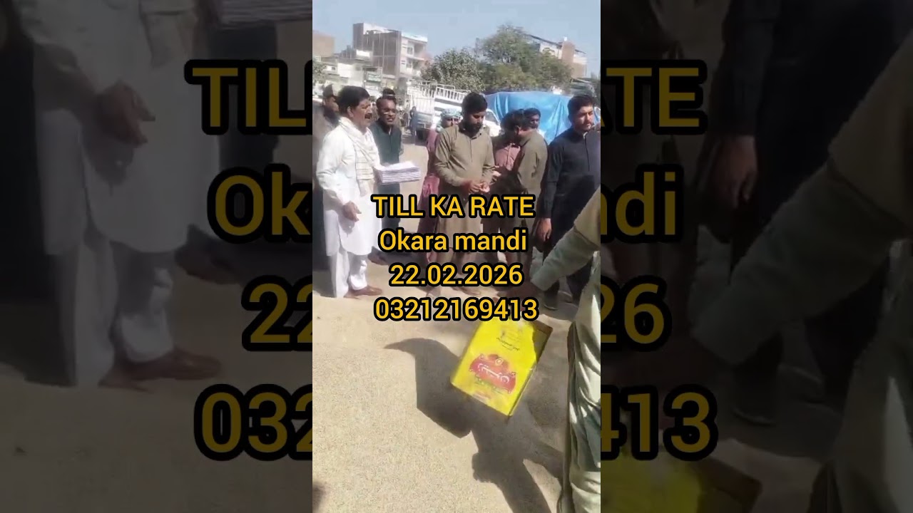 sesame price today okara mandi 22.02.2026
