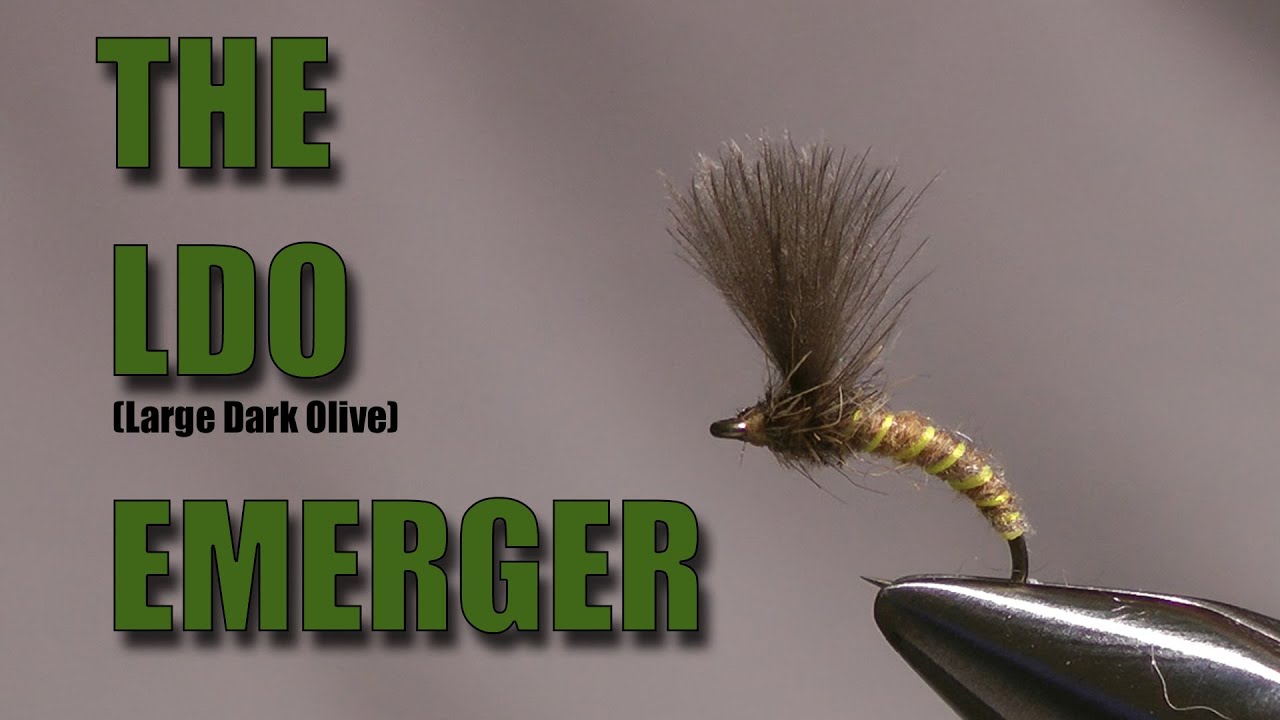 The 'LDO (Large Dark Olive) Emerger'  - Fly tying with Geoff Johnston