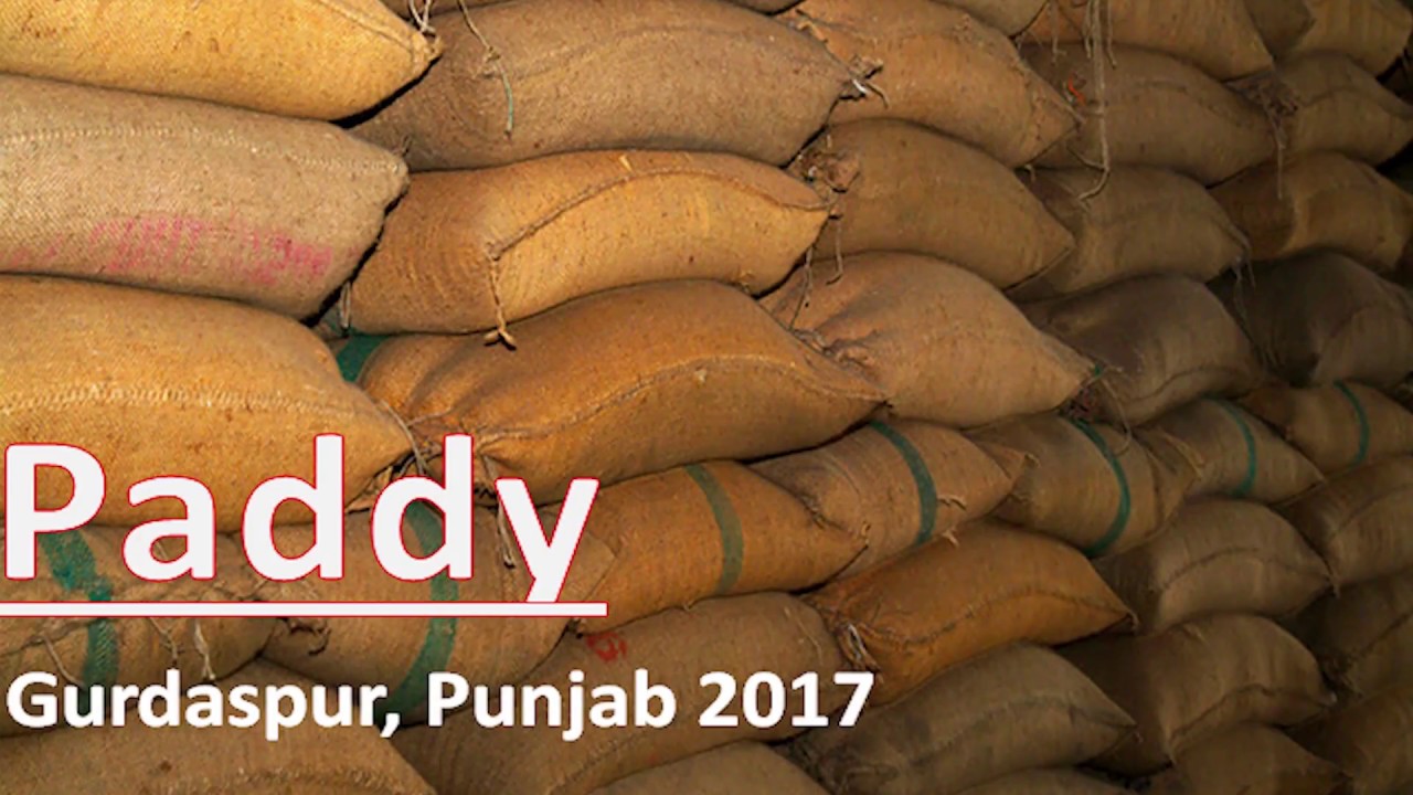 Punjab Rice Shellers/Farmers fall prey to unfitting government policies.