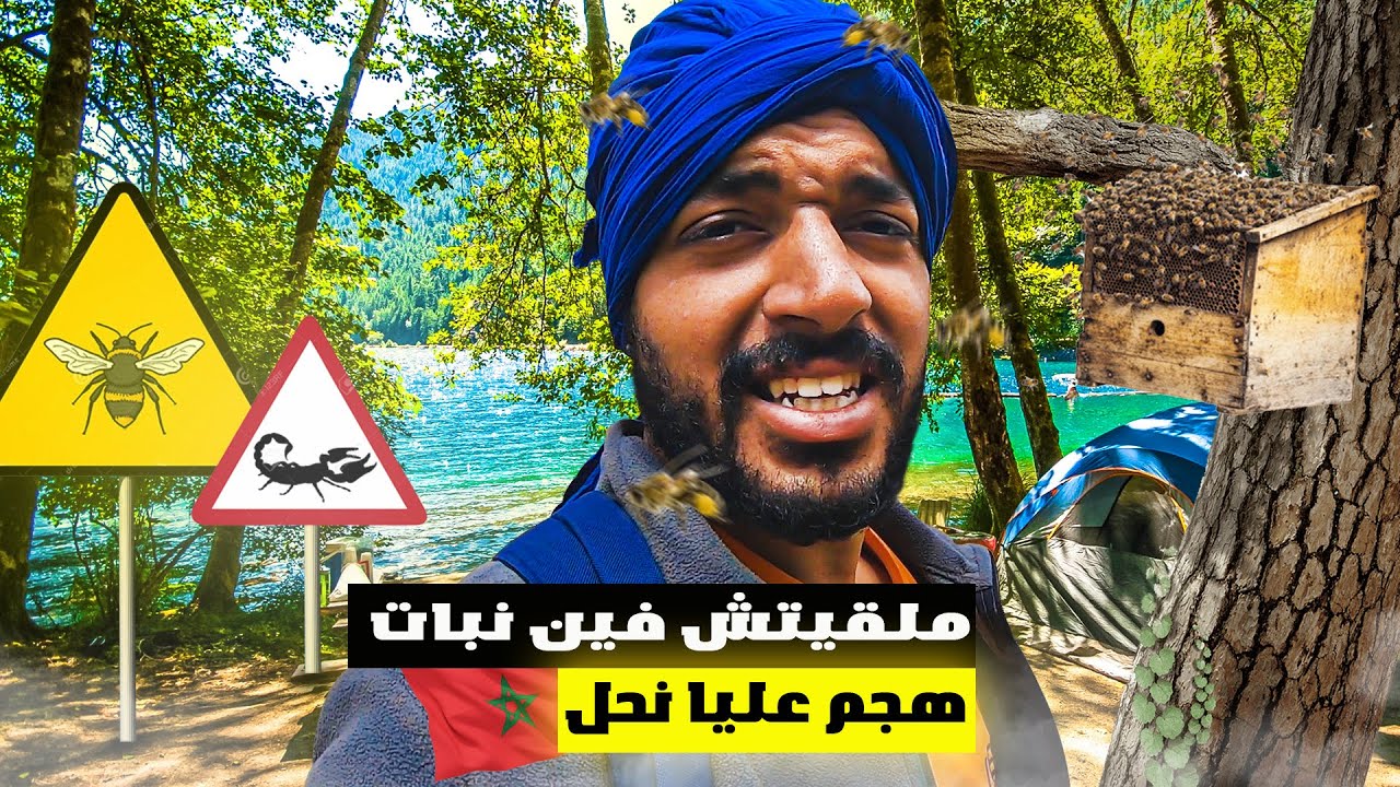 #VLOG178 | من زاوية أحنصال: نمت مع العقارب🦂، دوشت فالواد🏞️، وهاجمني النحل🐝! 🇲🇦