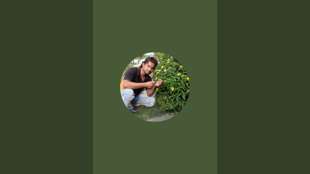 let Ho Gaya yaar thodi Si baten kar lete hain join kar lo
