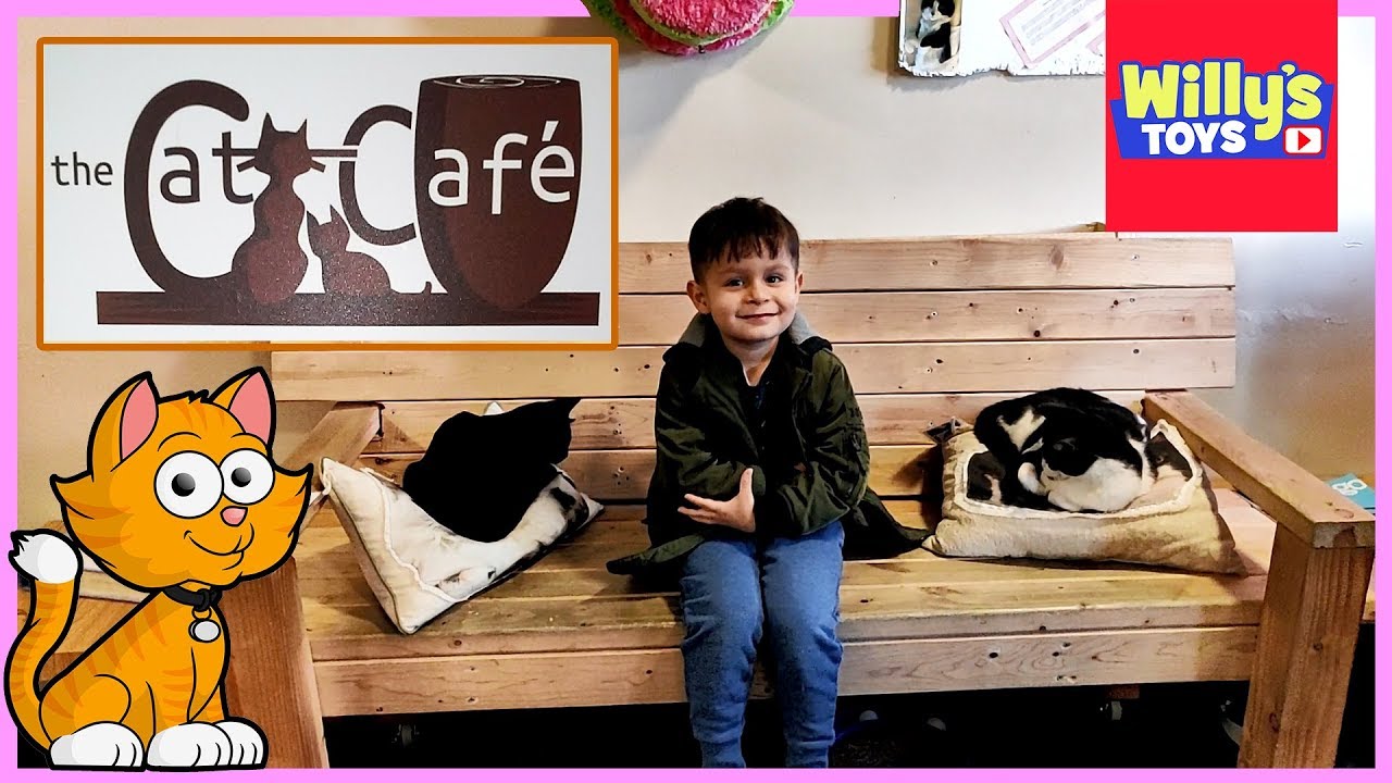 The Cat Cafe in San Diego - Full Tour