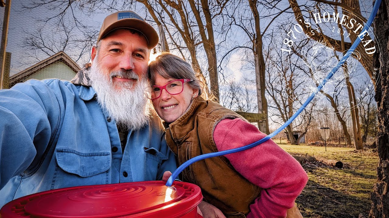 Syrup Season | Maple & Walnut Harvesting